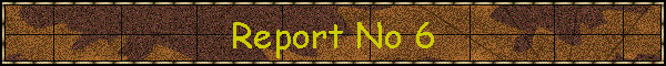 Report No 6