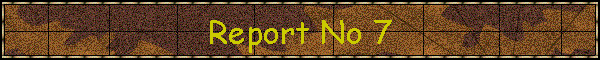 Report No 7