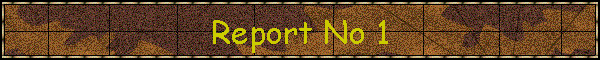 Report No 1